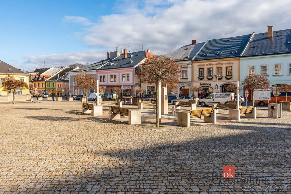 Prodej, domy/památka/jiné, 700 m2, Pálená 96, Polička-Město,