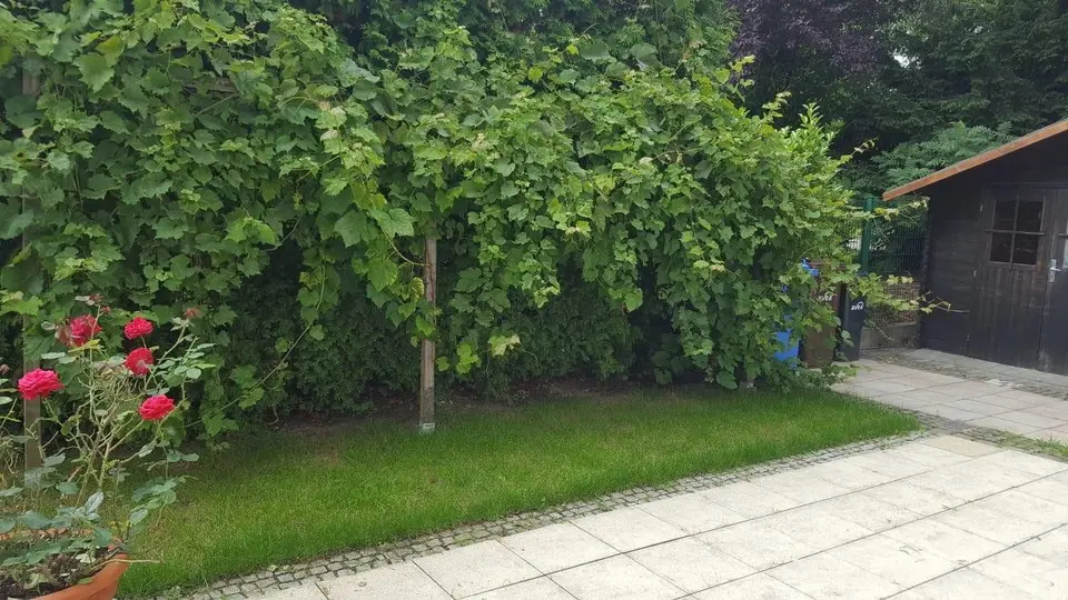 Pronájem domu 244 m², pozemek 384 m², Leverkusen