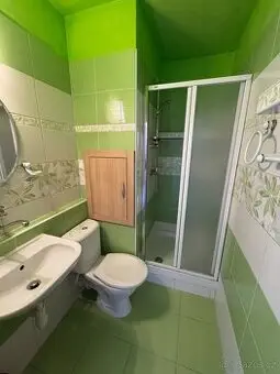 Pronájem, byt 1+KK, 24 m2, Partyzánská, Moravský Beroun