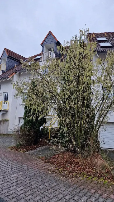 Prodej bytu 2+kk 72 m², Neu-Anspach