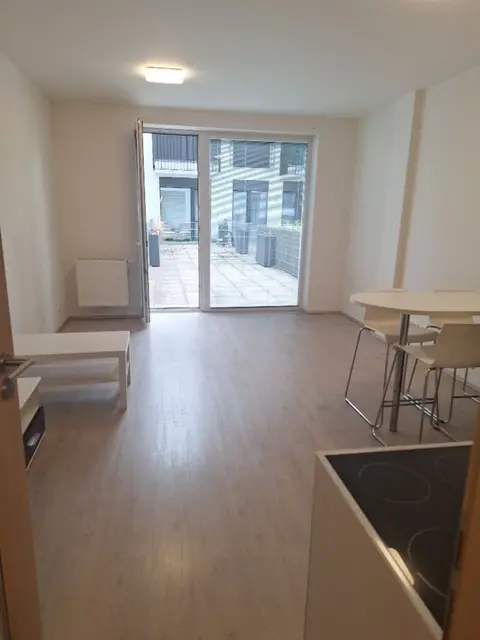 Pronájem bytu 1+kk 44 m², Vídeňská, Brno