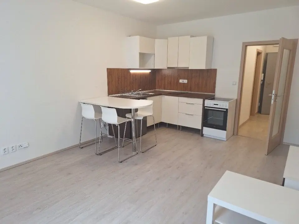 Pronájem bytu 1+kk 44 m², Vídeňská, Brno