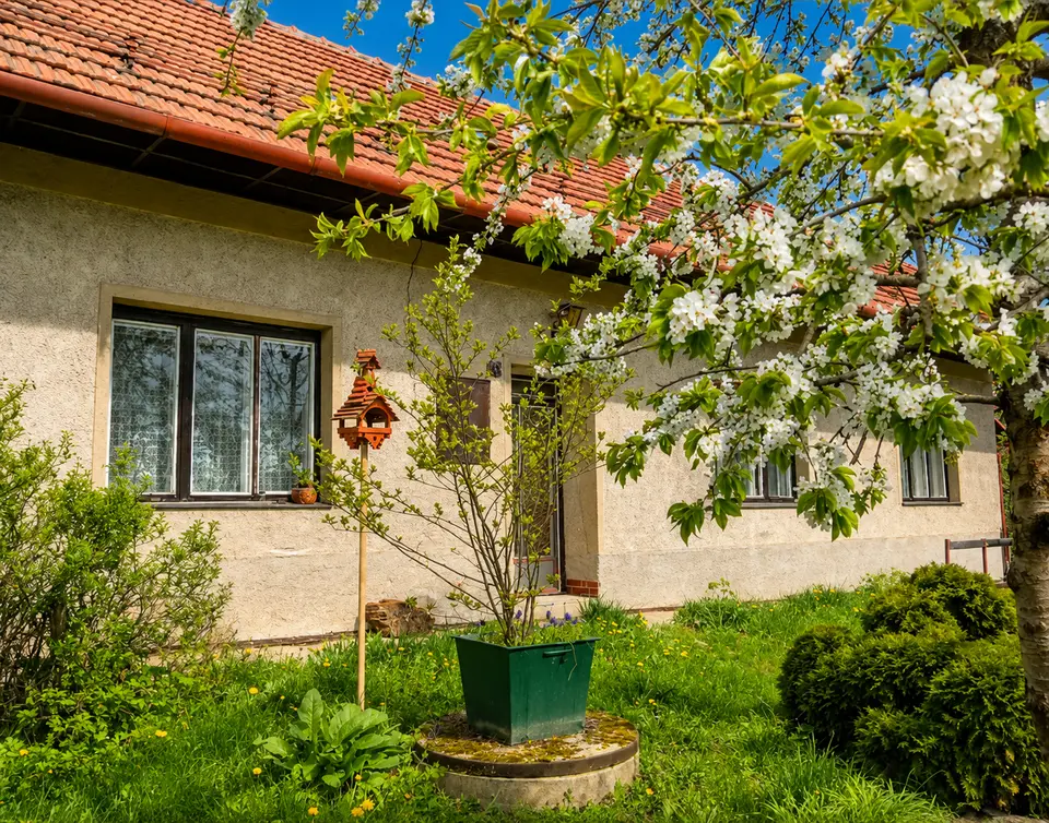 Prodej domu 94 m², pozemek 427 m², Vidonín